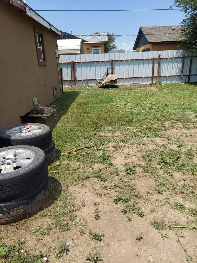 Affordable lawn mowing service experts serving Roswell, NM - J&B Service's