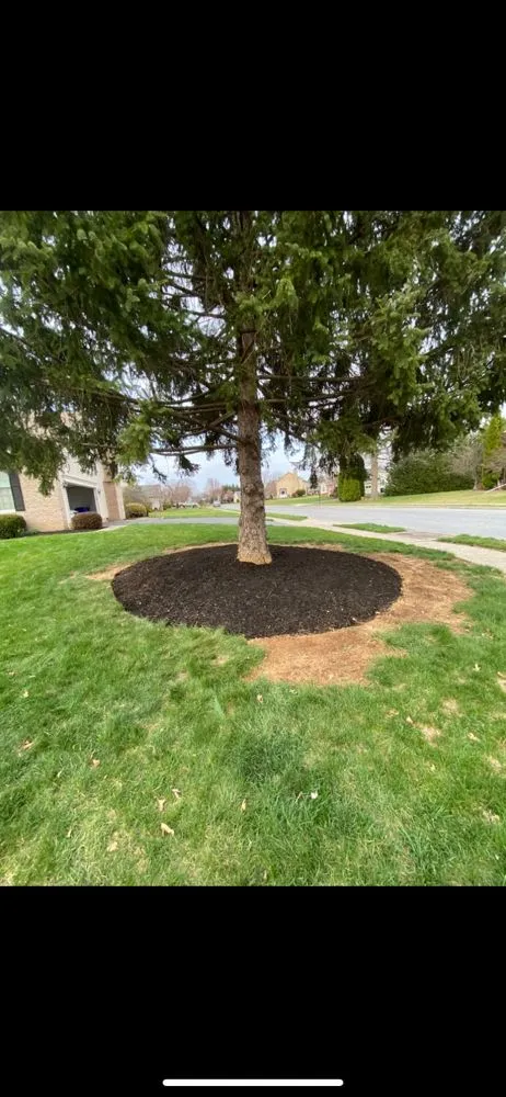 Top-rated landscaping services experts serving Walkersville, MD - J&B Services