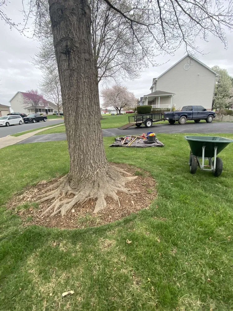 Affordable lawn mowing service in Walkersville, MD by J&B Services