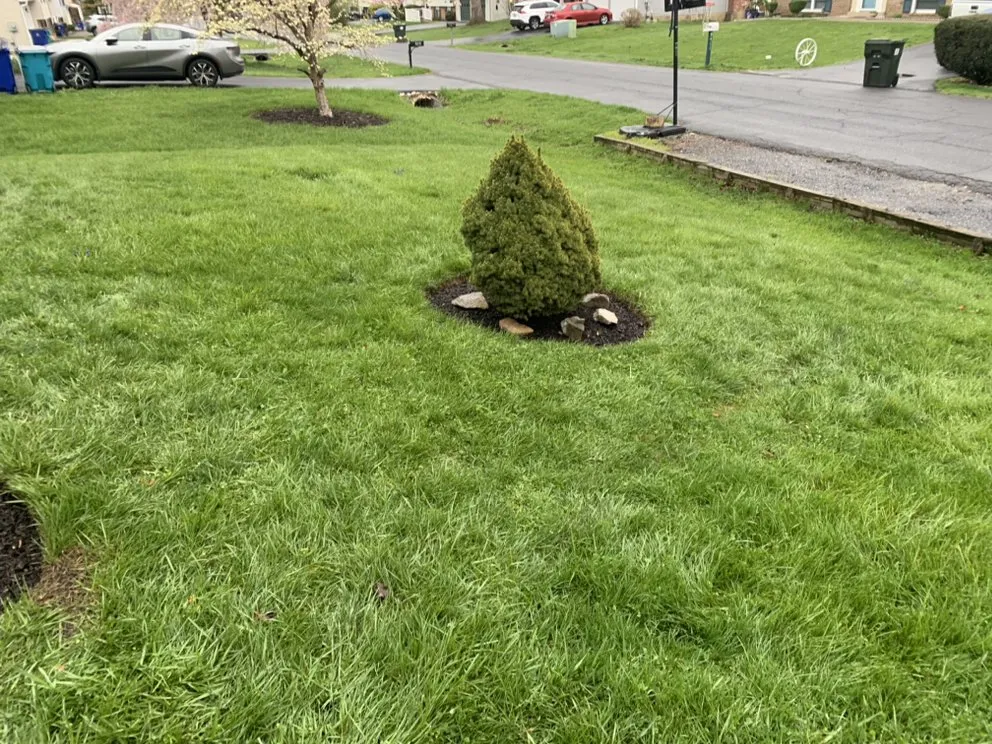 Custom yard maintenance for homes in Walkersville, MD by J&B Services