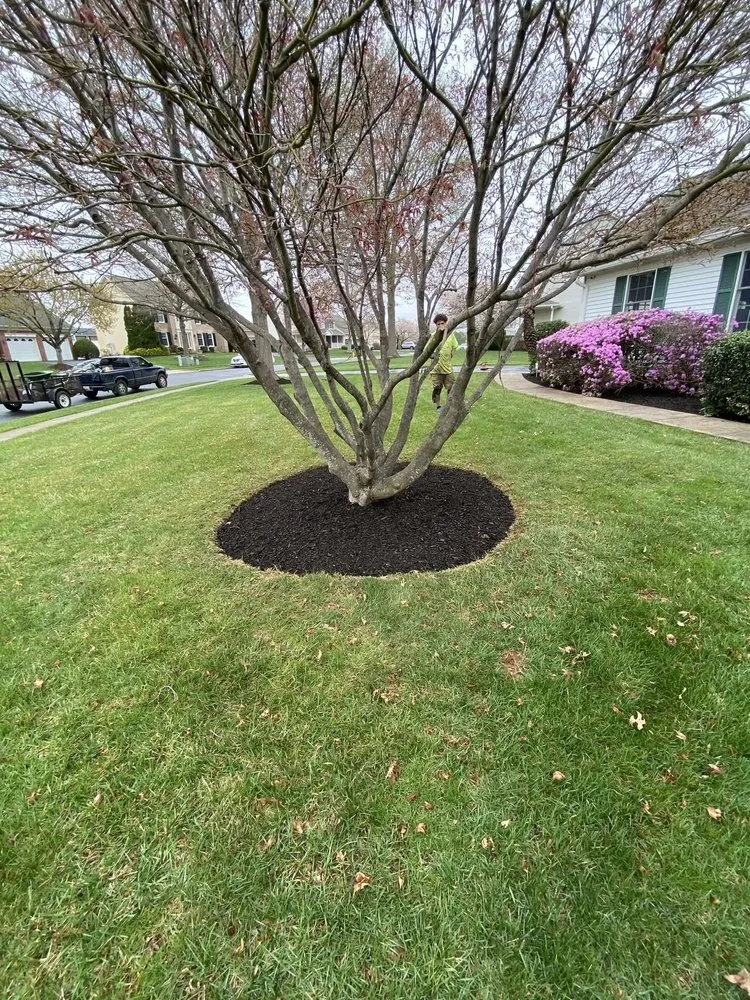 Affordable yard maintenance for year-round maintenance across Walkersville, MD - J&B Services