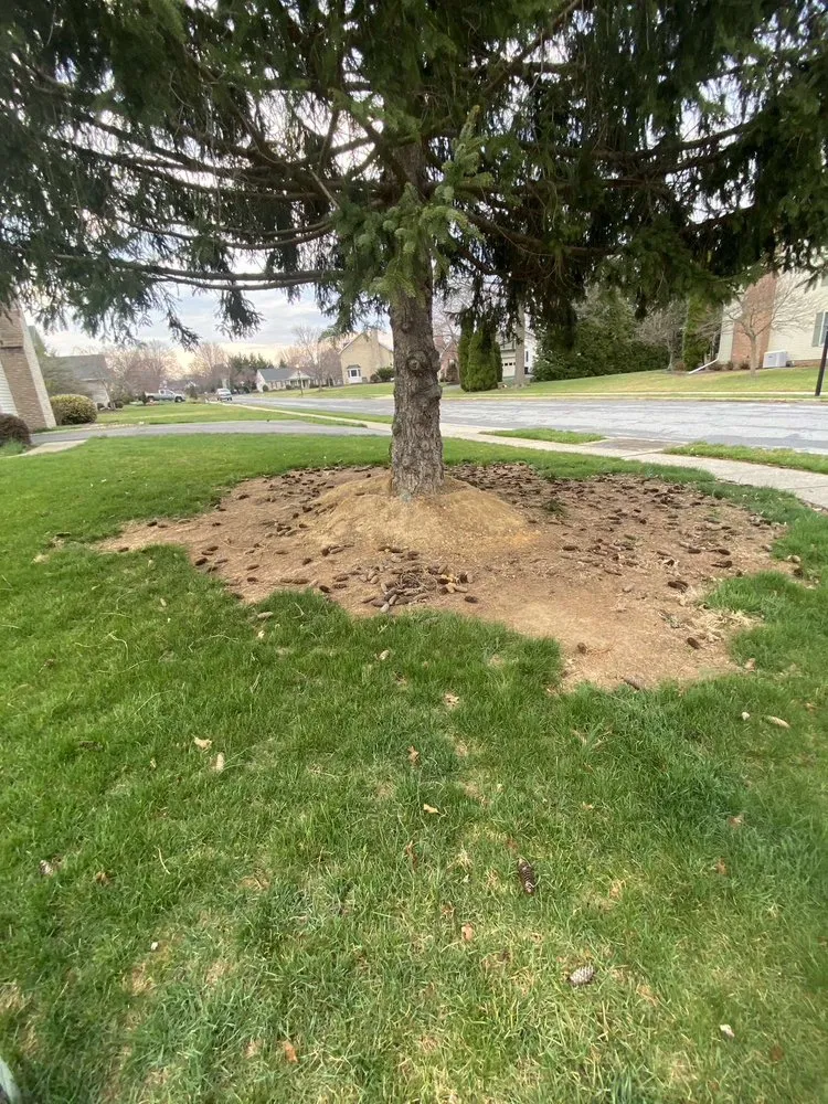 Trusted landscaping services with custom design in Walkersville, MD by J&B Services