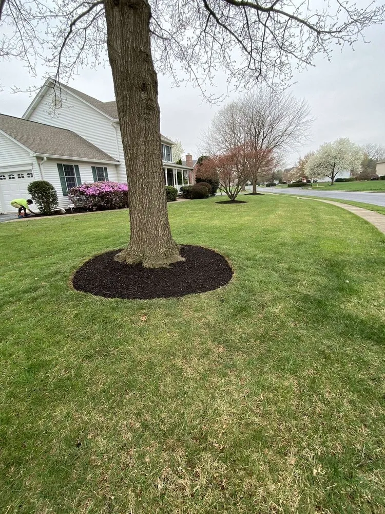 Professional landscaping services near you in Walkersville, MD by J&B Services