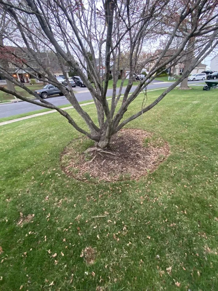 Custom yard cleanup service in Walkersville, MD - J&B Services