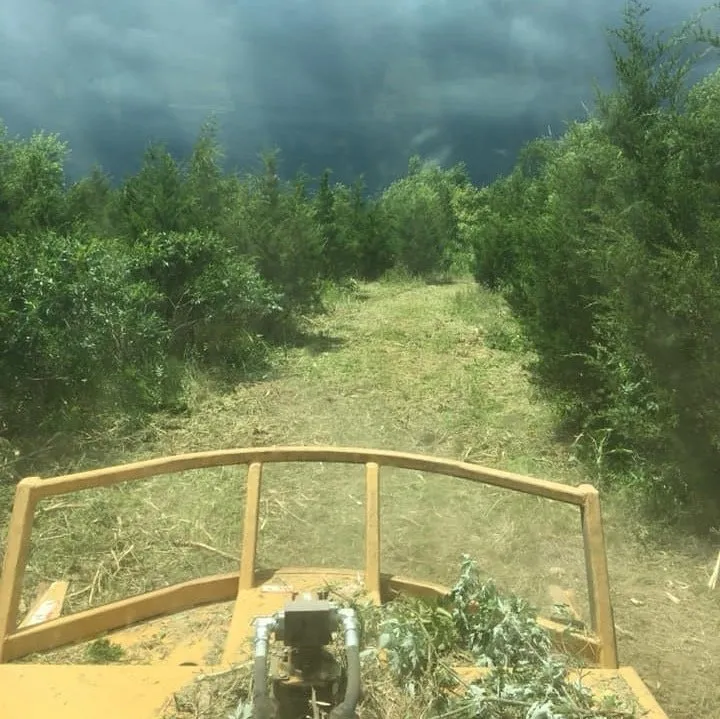 Reliable residential landscaping in Carthage, MO by JB SkidSteer Service