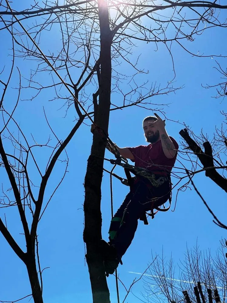 Top-rated yard maintenance for homes across Huntington, WV - J&B Tree and Lawncare