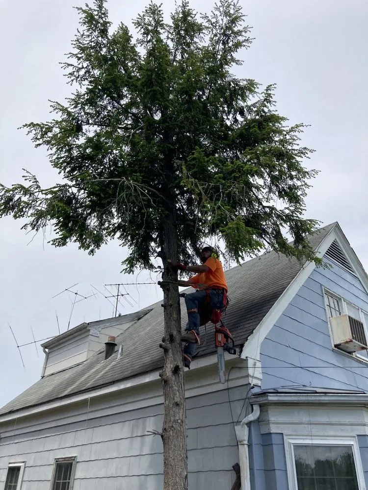 Professional yard maintenance in Huntington, WV by J&B Tree and Lawncare