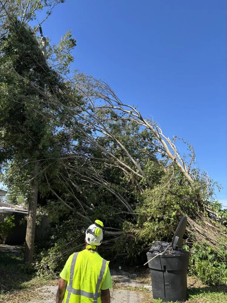 Professional lawn mowing service in Huntington, WV by J&B Tree and Lawncare