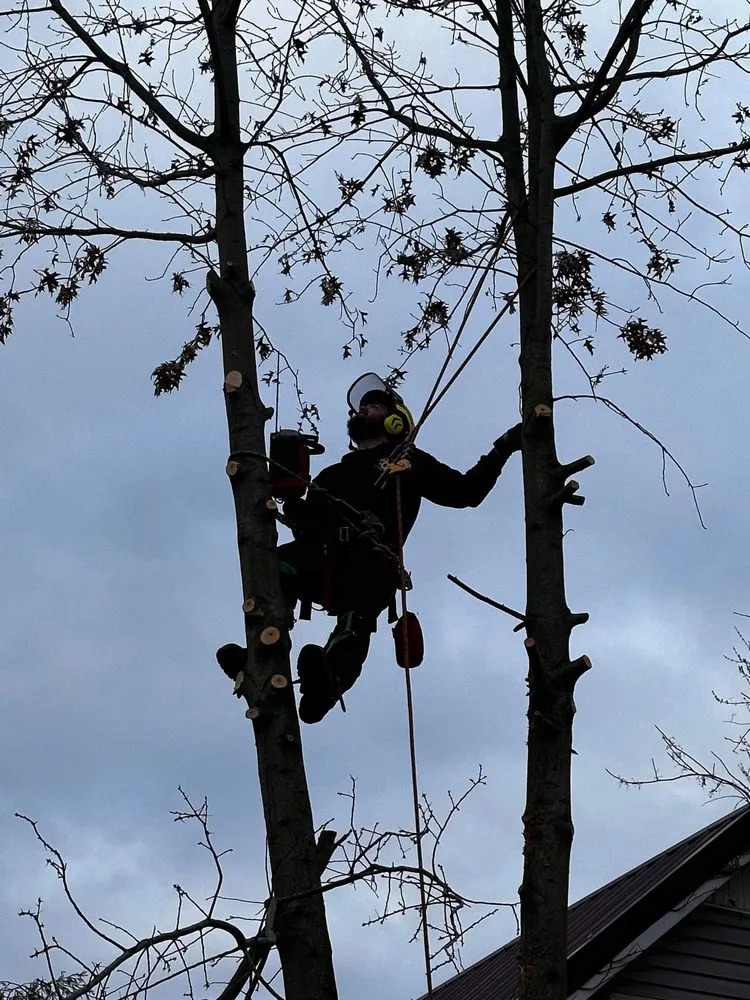 Affordable lawn mowing service near you across Huntington, WV - J&B Tree and Lawncare