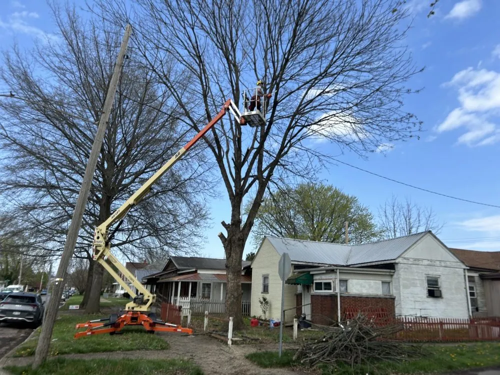 Expert yard maintenance experts serving Huntington, WV - J&B Tree and Lawncare