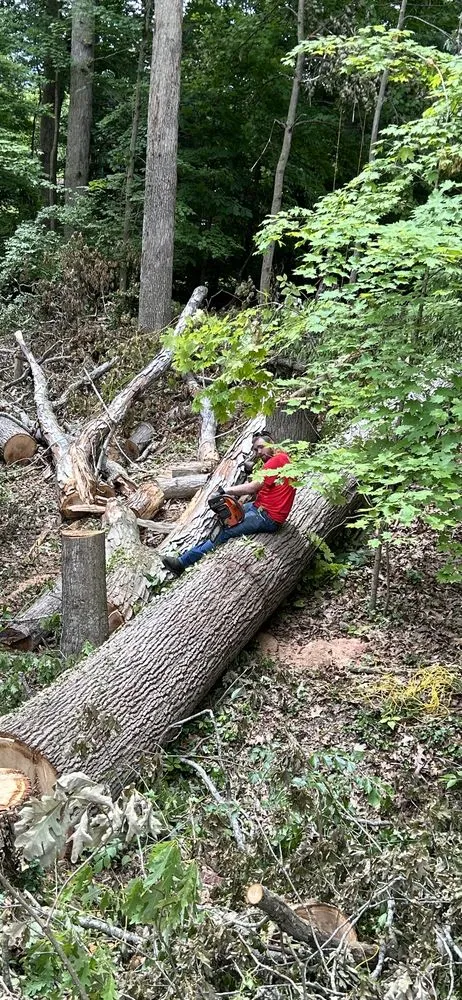 Trusted landscape installation for residential properties across Huntington, WV - J&B Tree and Lawncare