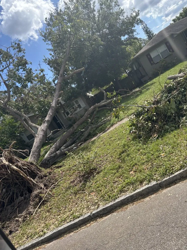 Expert landscape design for beautiful yards across Huntington, WV - J&B Tree and Lawncare