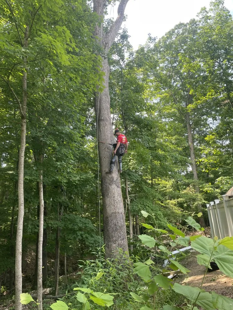 Trusted garden landscaping for homes across Huntington, WV - J&B Tree and Lawncare