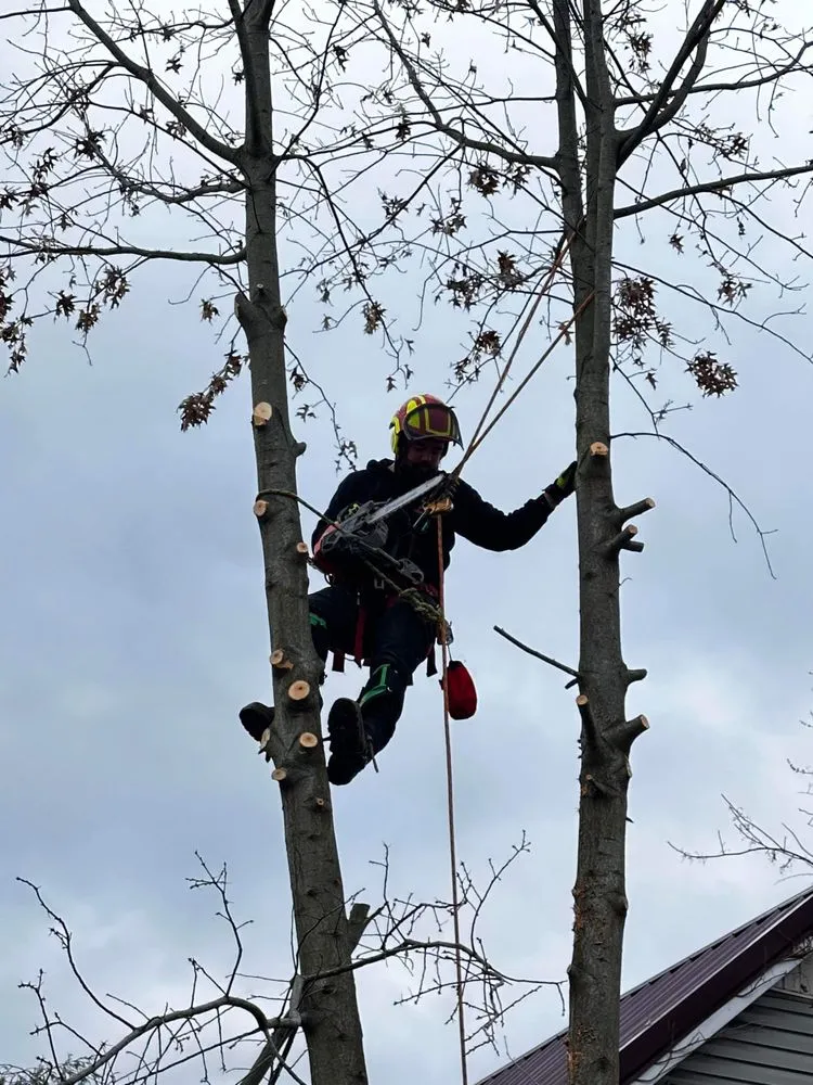 Expert outdoor landscaping for residential properties in Huntington, WV by J&B Tree and Lawncare