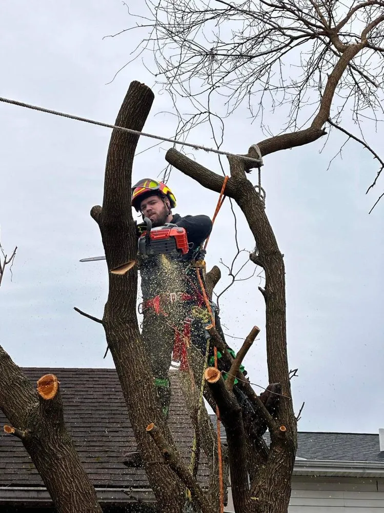 Professional outdoor landscaping for homes in Huntington, WV by J&B Tree and Lawncare