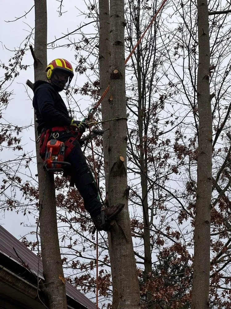 Custom residential landscaping in Huntington, WV by J&B Tree and Lawncare