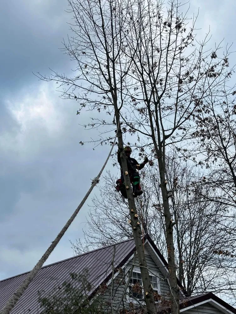 Local yard maintenance in Huntington, WV by J&B Tree and Lawncare