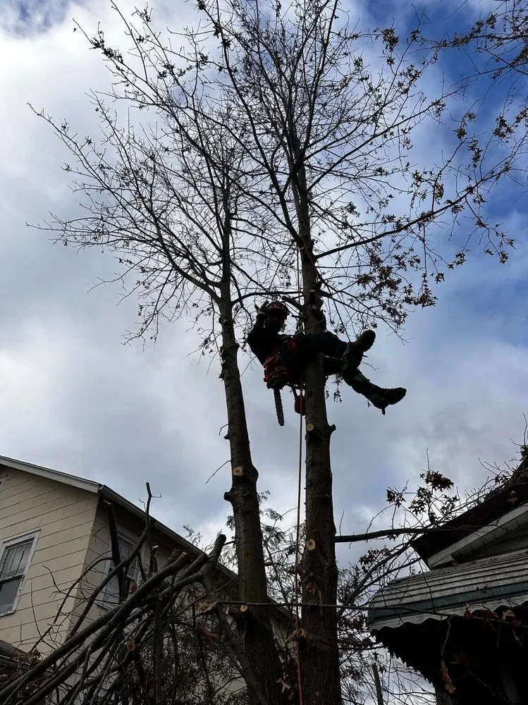 Top-rated yard cleanup service in Huntington, WV - J&B Tree and Lawncare