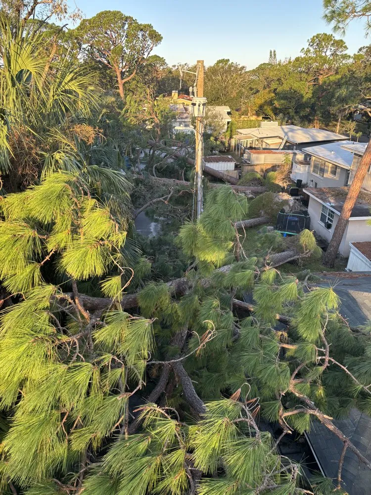 Professional garden landscaping for outdoor upgrades in Huntington, WV by J&B Tree and Lawncare