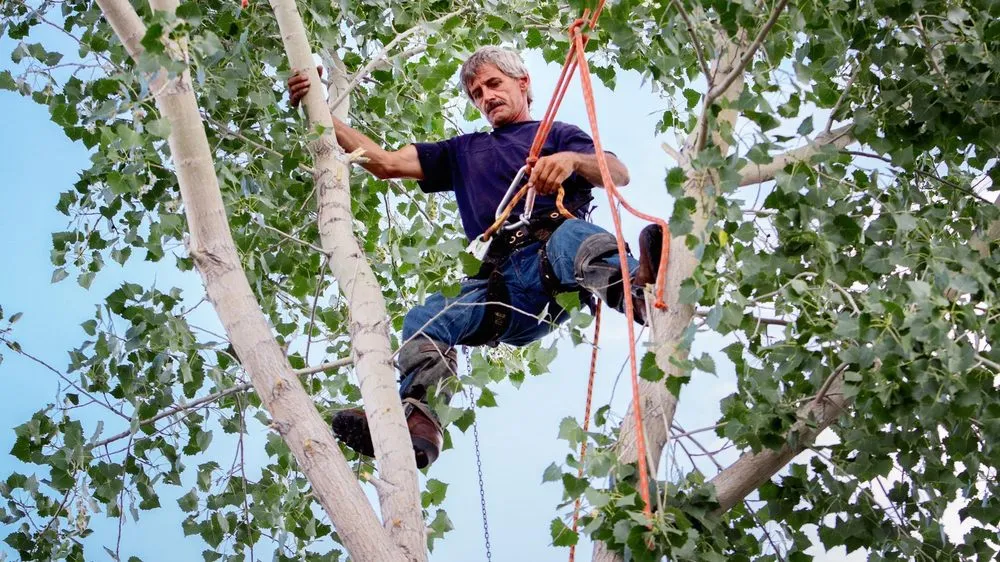 Trusted landscape installation with custom design in Waconia, MN by JB Tree Care & Landscaping
