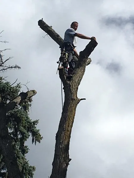 Local residential landscaping in Waconia, MN - JB Tree Care & Landscaping