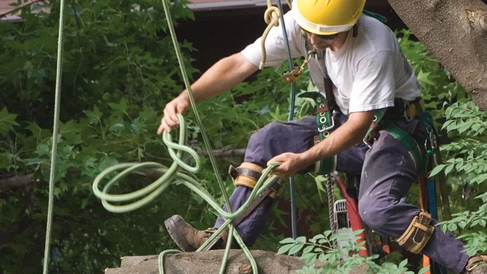 Reliable landscape design in Waconia, MN - JB Tree Care & Landscaping