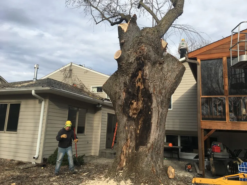 Expert garden landscaping in Waconia, MN by JB Tree Care & Landscaping