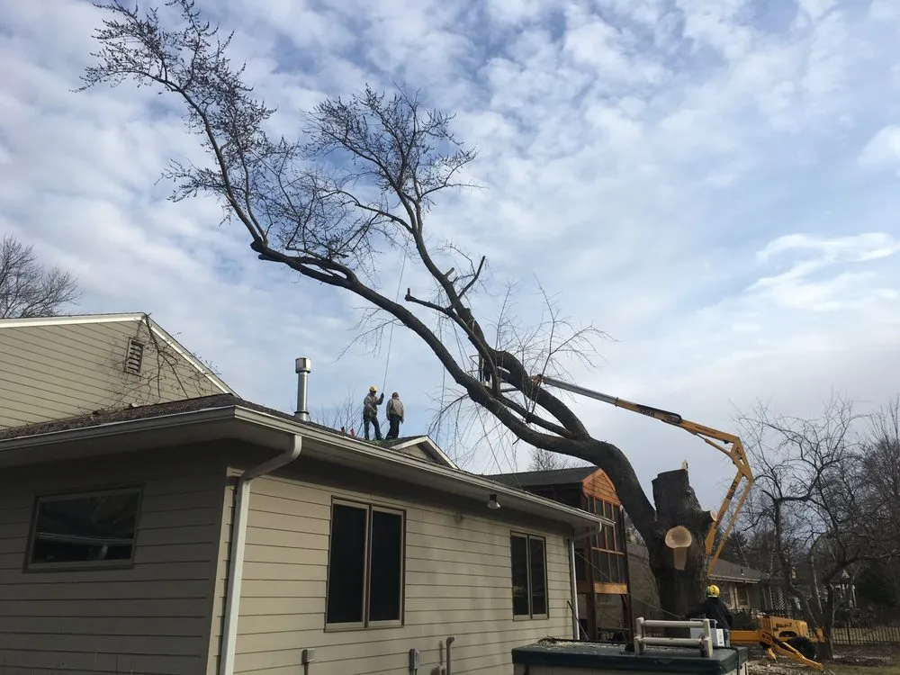 Affordable outdoor landscaping for beautiful yards across Waconia, MN - JB Tree Care & Landscaping