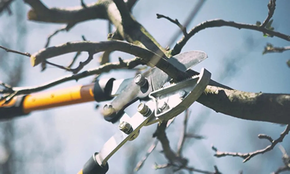 Expert yard maintenance in Waconia, MN by JB Tree Care & Landscaping