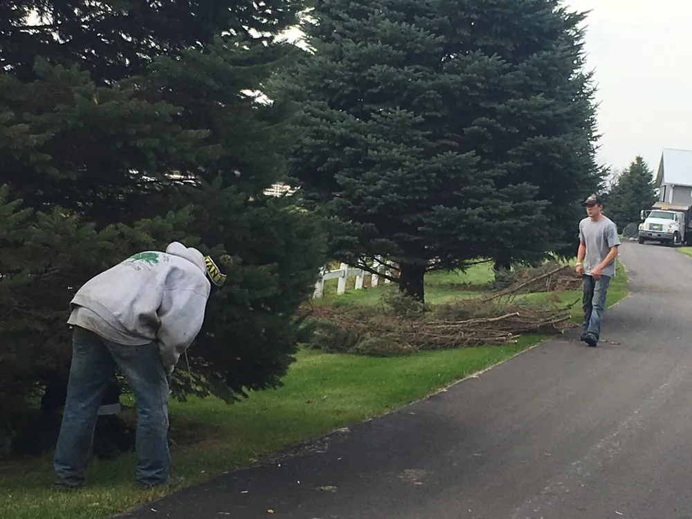 Affordable residential landscaping in Waconia, MN - JB Tree Care & Landscaping