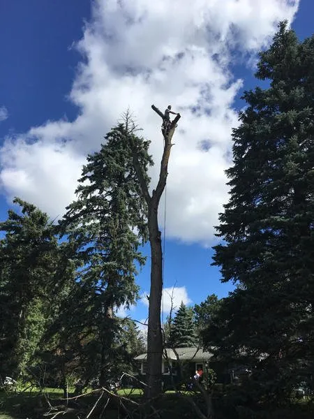 Trusted outdoor landscaping in Waconia, MN by JB Tree Care & Landscaping