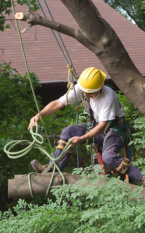 Local garden landscaping for outdoor upgrades across Waconia, MN - JB Tree Care & Landscaping