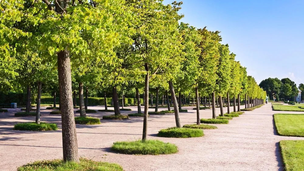 Custom garden landscaping experts serving Waconia, MN - JB Tree Care & Landscaping