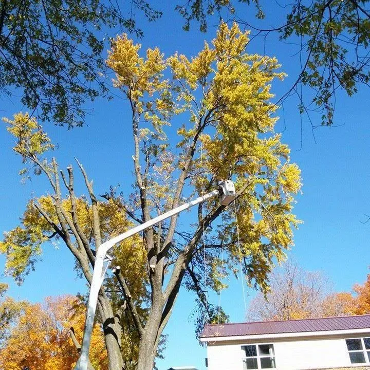 Local landscape installation in Cedar Rapids, IA by J&B Tree Service
