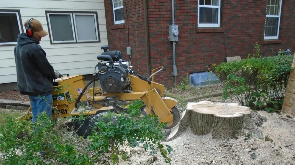 Professional landscape design for year-round maintenance across Cedar Rapids, IA - J&B Tree Service