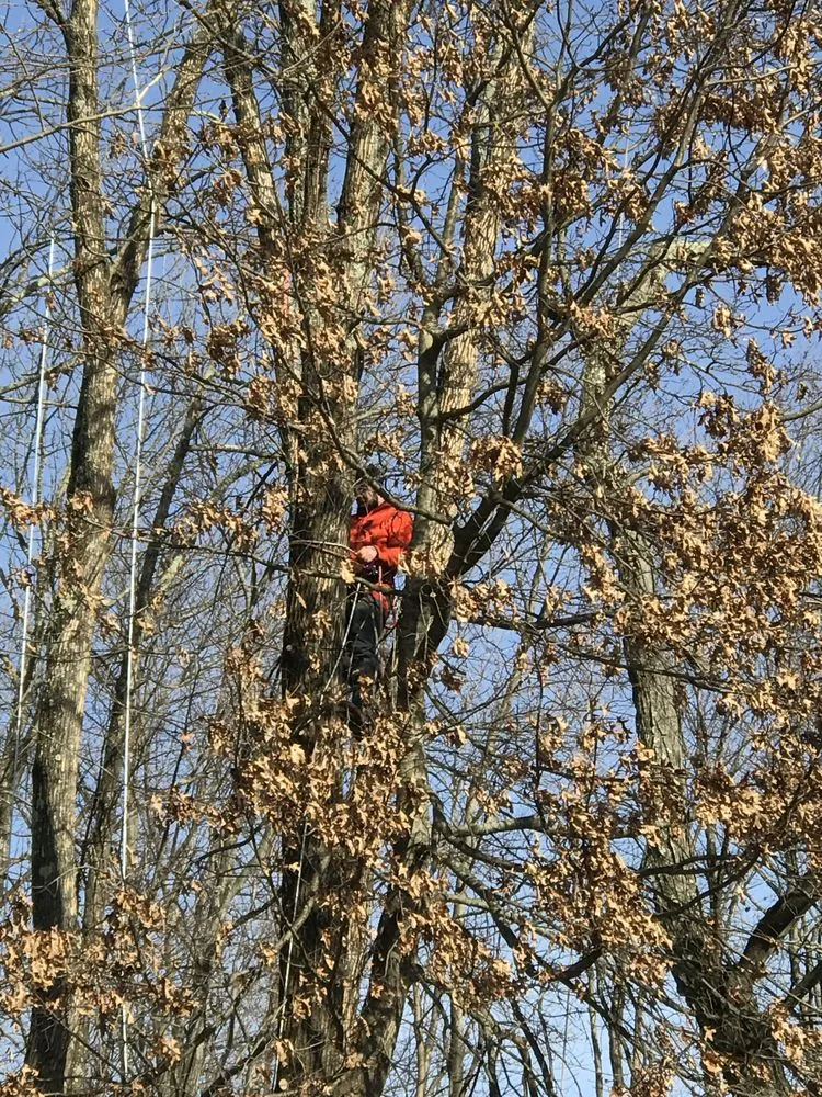 Custom yard cleanup service with custom design in Doylestown, PA by JB Tree Service