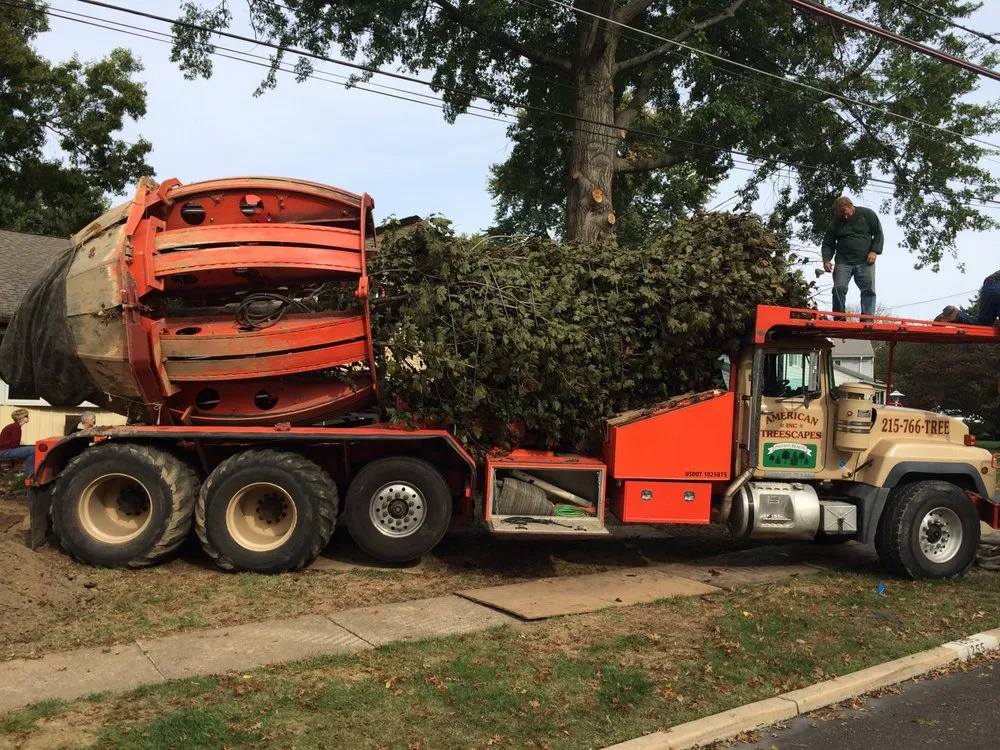 Expert landscape installation for homes across Doylestown, PA - JB Tree Service