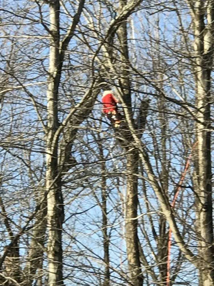 Expert landscape installation for outdoor upgrades in Doylestown, PA by JB Tree Service