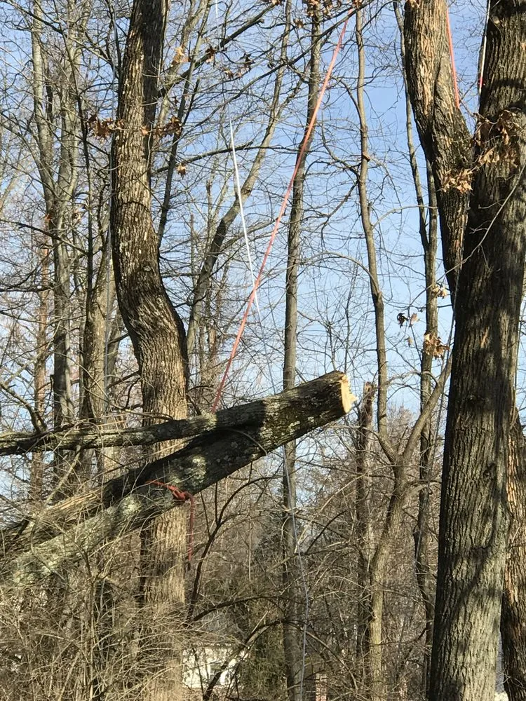 Affordable residential landscaping for year-round maintenance across Doylestown, PA - JB Tree Service