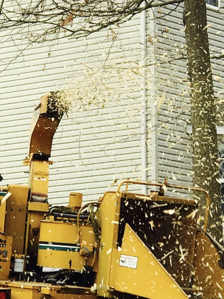 Local yard maintenance for residential properties across Doylestown, PA - JB Tree Service