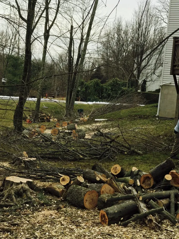 Trusted lawn care service for residential properties across Doylestown, PA - JB Tree Service