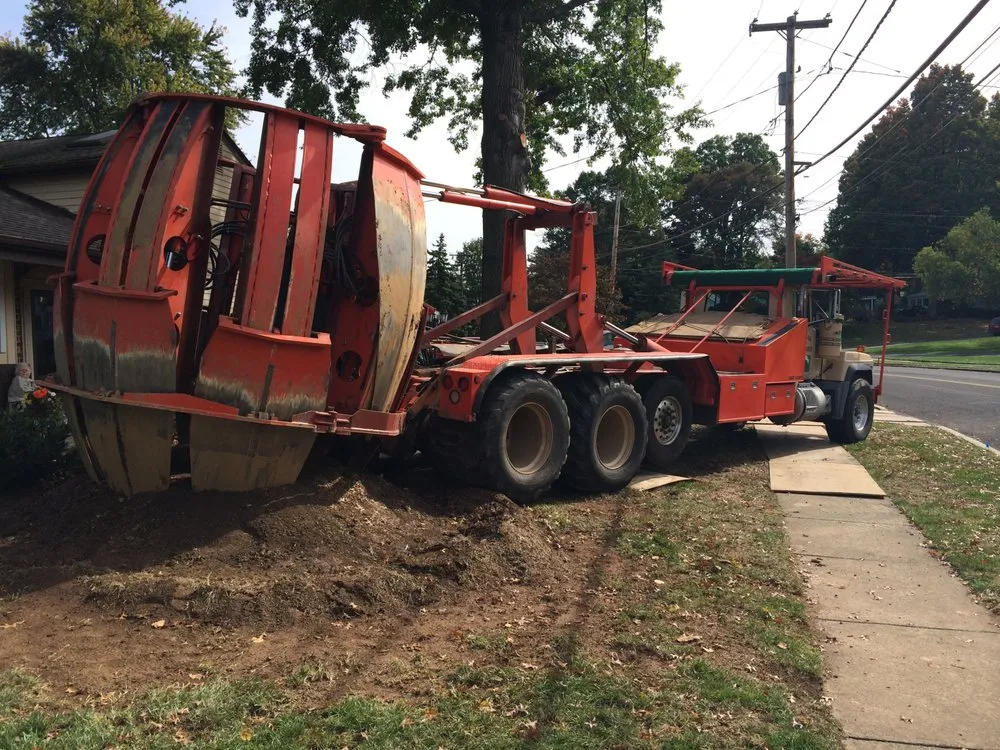 Professional yard maintenance in Doylestown, PA by JB Tree Service