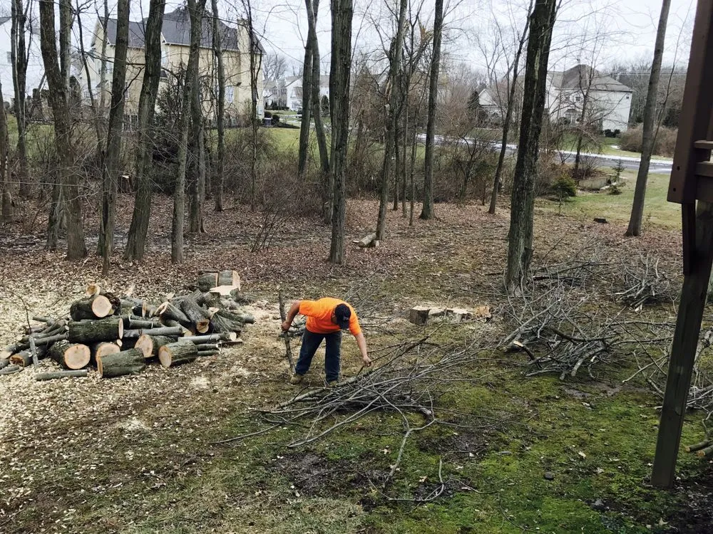 Top-rated landscape design with custom design across Doylestown, PA - JB Tree Service