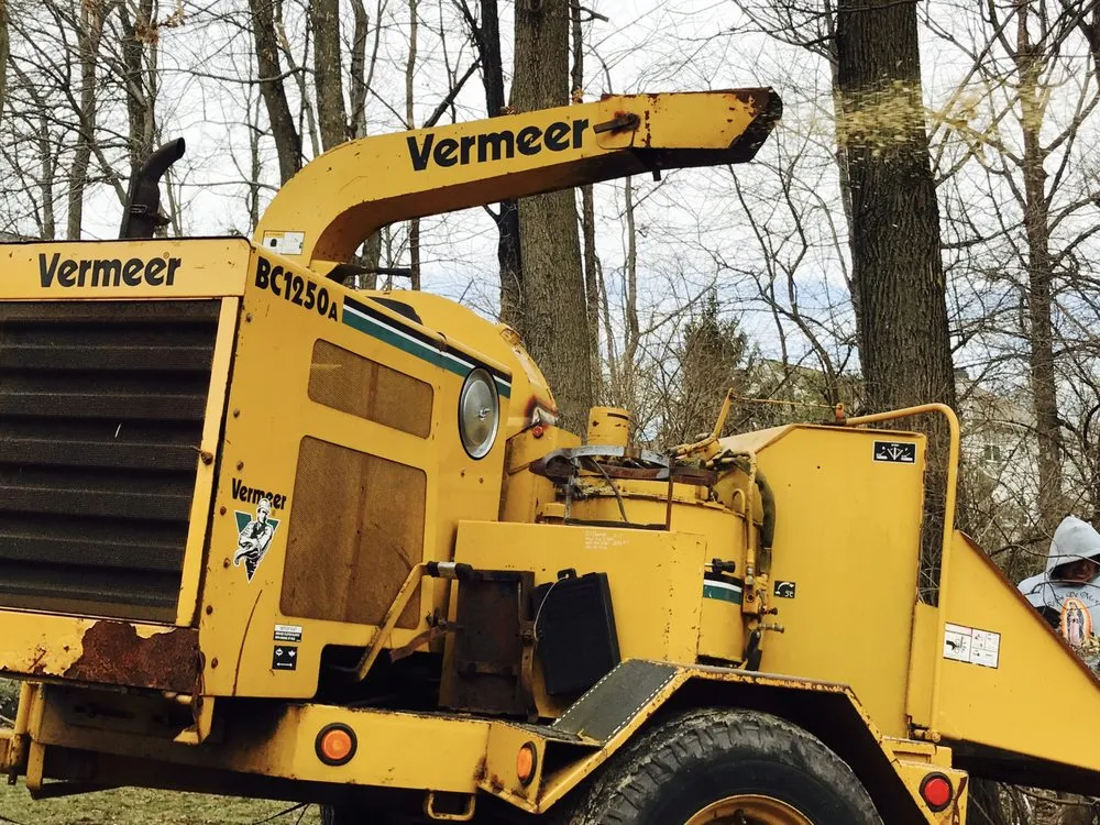 Affordable landscape design experts serving Doylestown, PA - JB Tree Service