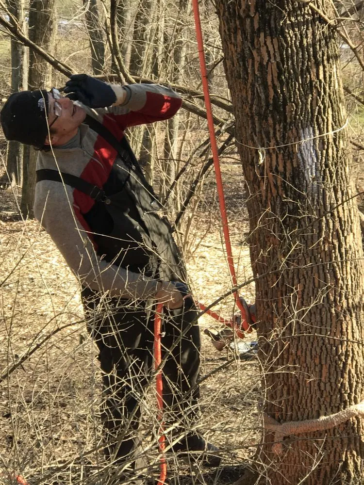 Expert residential landscaping near you in Doylestown, PA by JB Tree Service