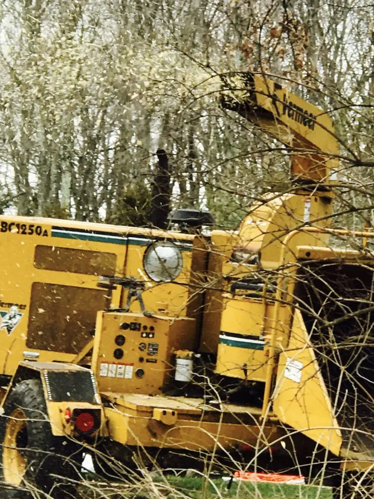 Affordable landscape design for outdoor upgrades in Doylestown, PA by JB Tree Service