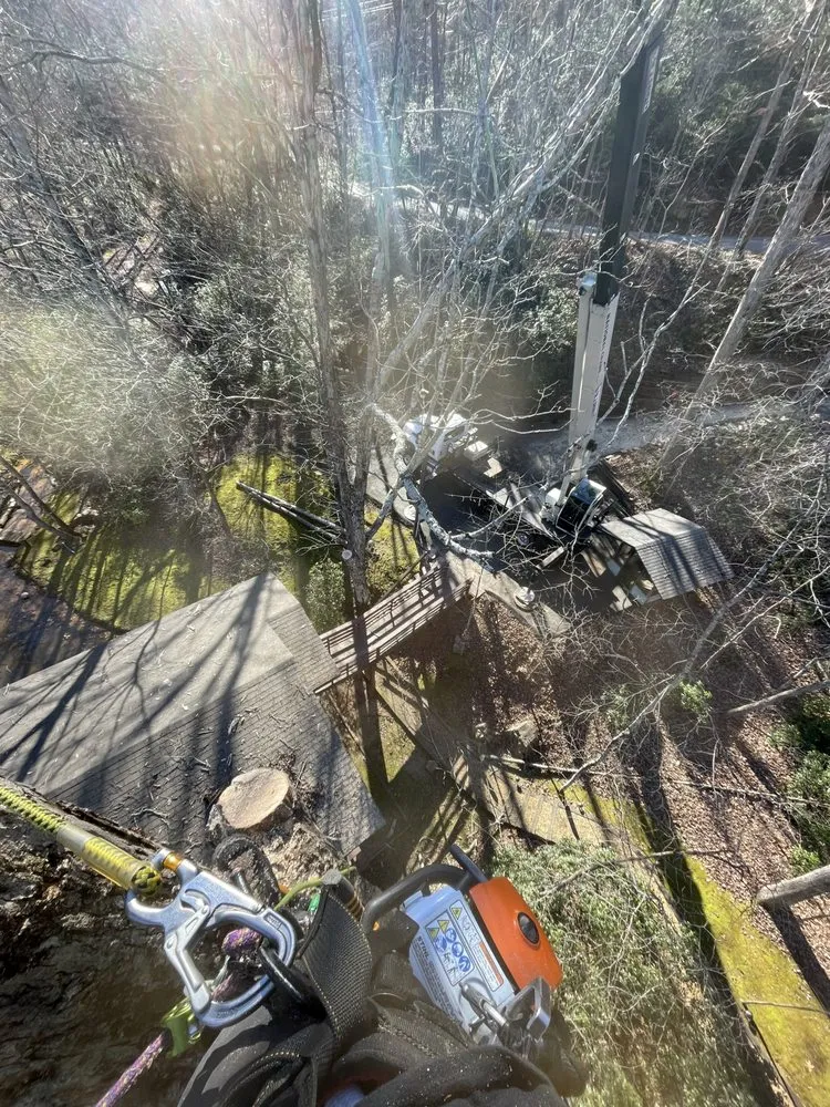 Expert residential landscaping for beautiful yards across Landrum, SC - JB Trees & Scapes