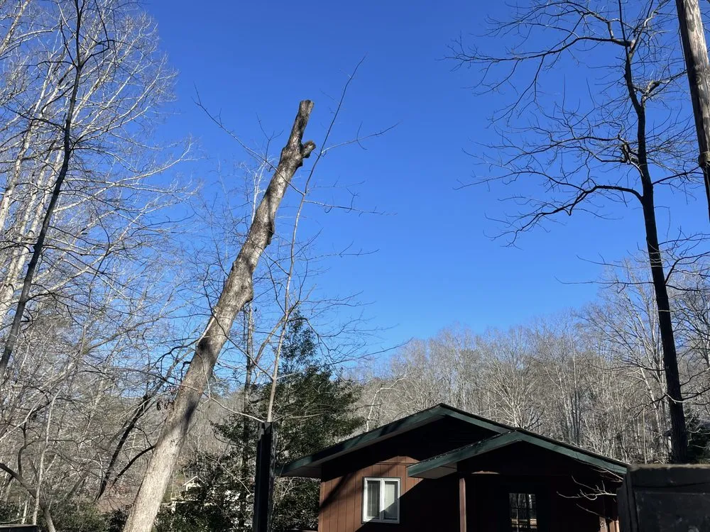 Affordable outdoor landscaping with custom design across Landrum, SC - JB Trees & Scapes