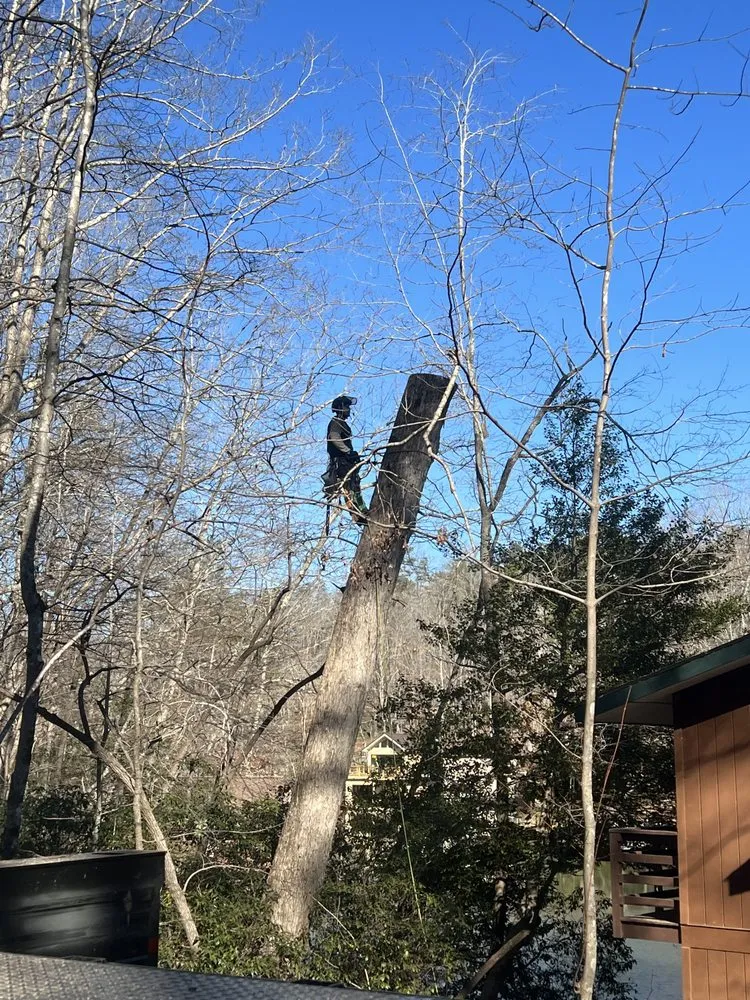 Top-rated residential landscaping experts serving Landrum, SC - JB Trees & Scapes