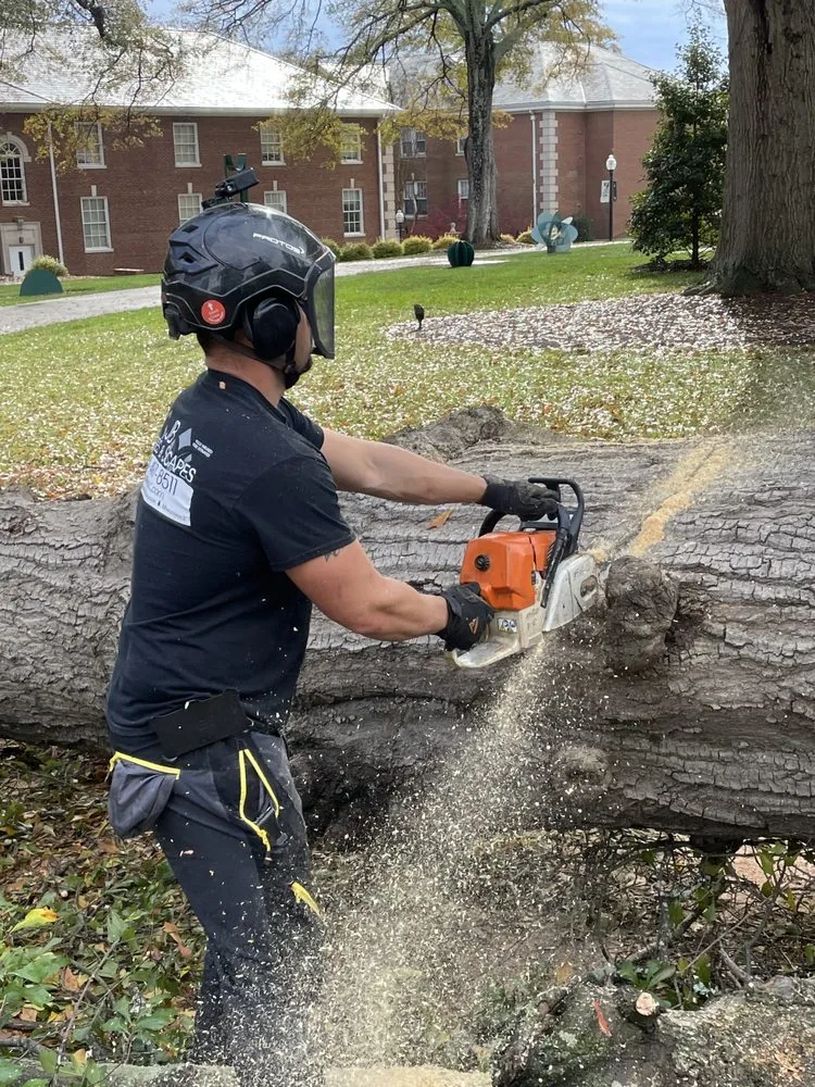 Reliable landscaping services with custom design in Landrum, SC by JB Trees & Scapes